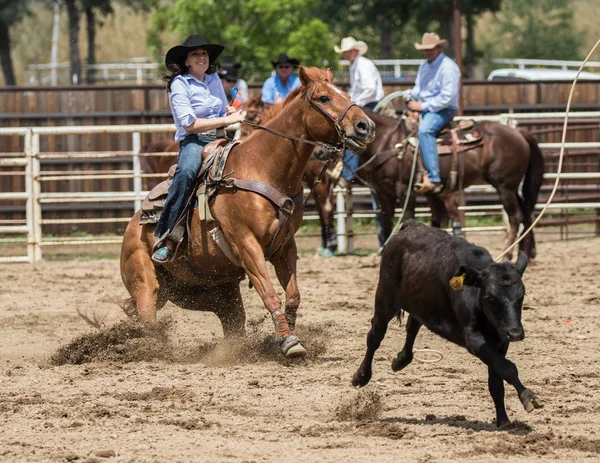 Ação Dia rodeio — Fotografia de Stock