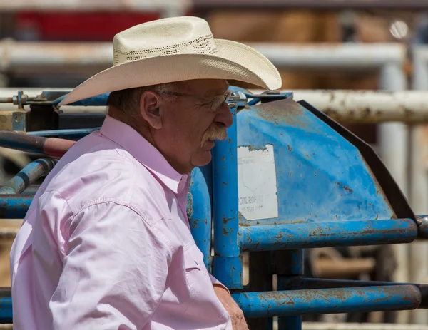 Vaquero en el Rodeo —  Fotos de Stock