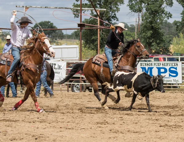 Team roping Boys — Stockfoto