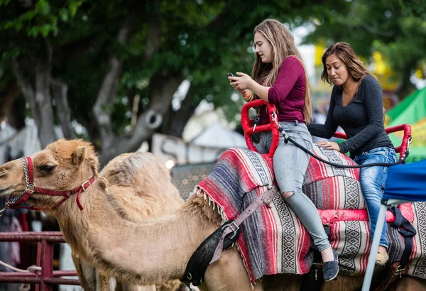 Cualquiera para un paseo en camello — Foto de Stock