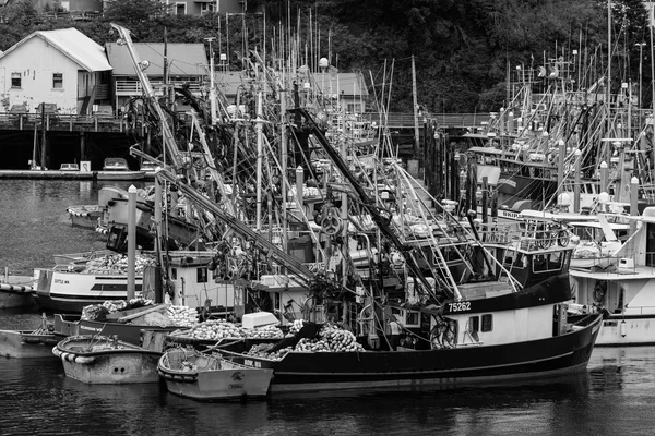 Ketchikan balıkçı tekneleri — Stok fotoğraf