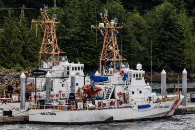 Sahil Güvenlik kesici