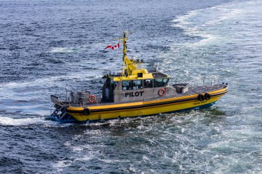 Kanadalı Pilot tekne