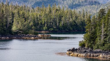 Vahşi Sitka, Alaska