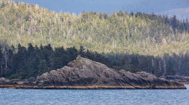Vahşi Sitka, Alaska