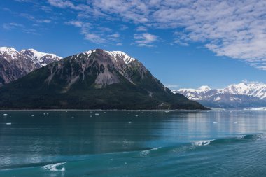 Düş kırıklığı Bay Alaska