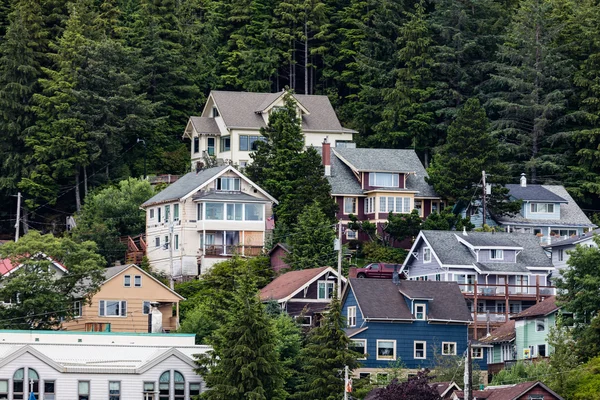 Sitka Alaska evleri