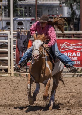 Cowgirl Rode Champ