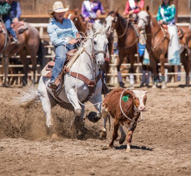 Buzağı Kementleme Cowgirl