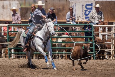 Got The Steer With a Good Throw