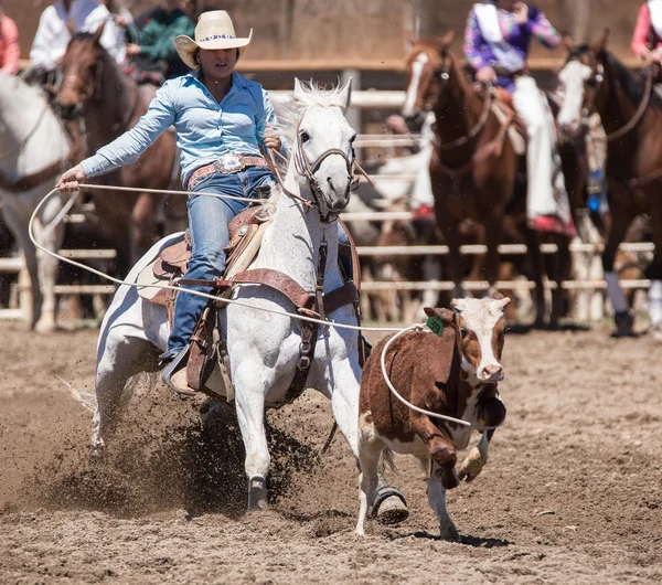 Roping a Quick One — Foto Stock