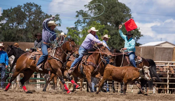 Bandera Roja en la Cuerda del Equipo —  Fotos de Stock