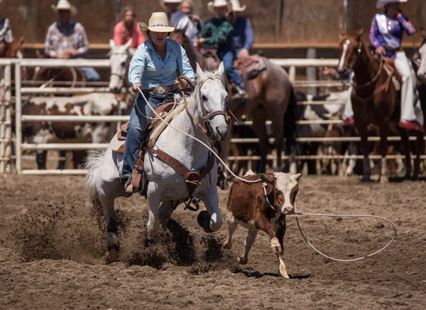 Big Loop Going Snag Him — Zdjęcie stockowe