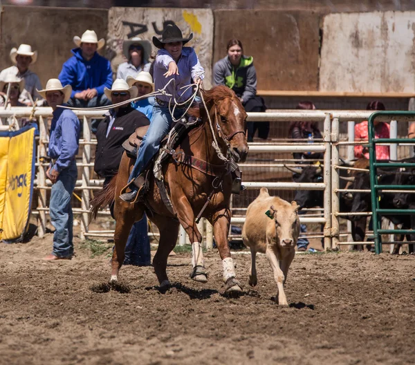 Lariat Throw on Target — Stockfoto