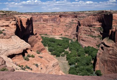 Kanyon de Shelly göz ardı