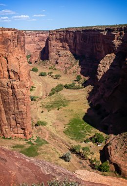 Kanyon de Shelly