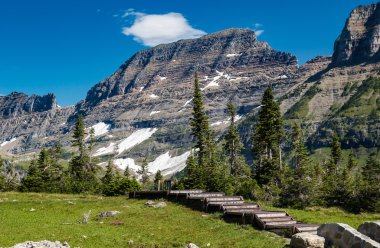 Buzul Ulusal Parkı, Montana