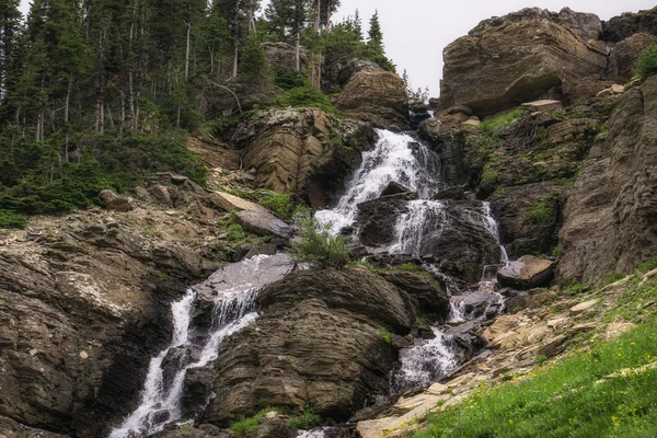 Parc national des Glaciers — Photo