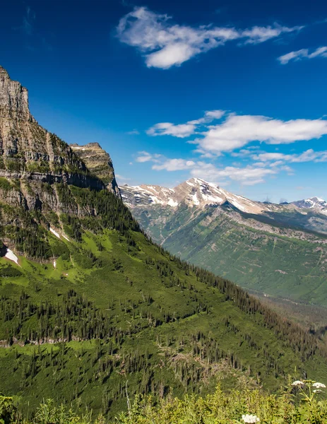 Národní park Glacier, Montana — Stock fotografie