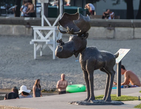 Moose y Millie en la playa — Foto de Stock