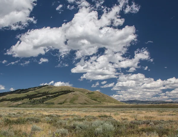 Nationaal park grand tetons, — Stockfoto