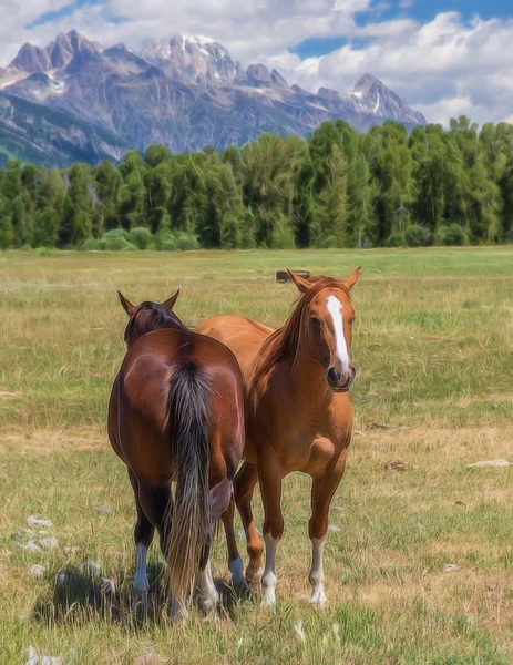 Konie w Wyoming — Zdjęcie stockowe