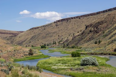 Doğu Oregon akışı