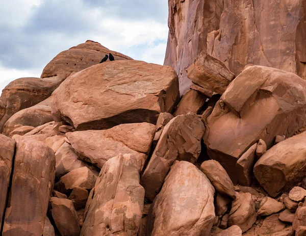 Stenblock på Arches National Park — Stockfoto