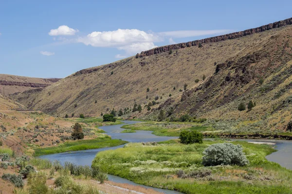 East Oregon Stream — Foto de Stock