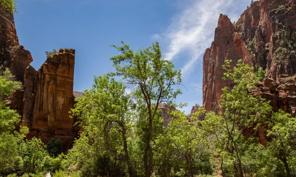 Canyon väggar och klippväggar — Stockfoto