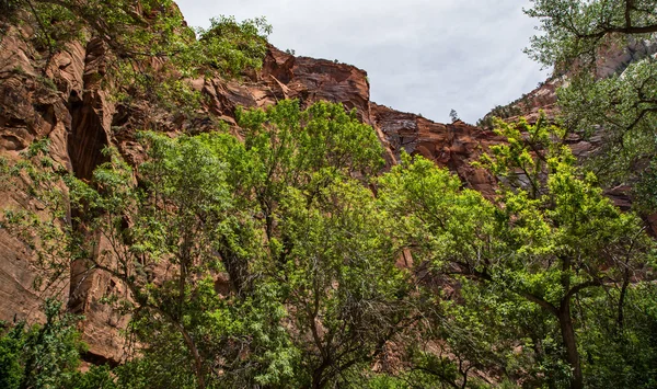 Muros de cañón y caras de acantilado — Foto de Stock