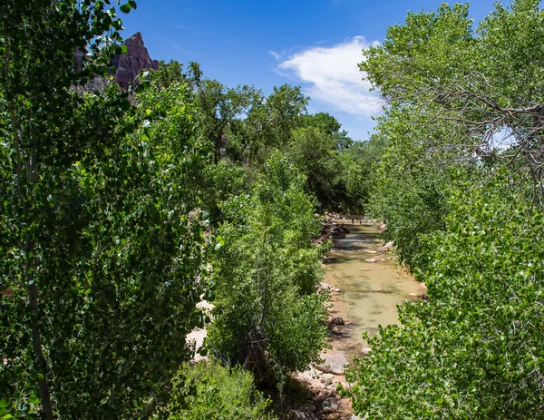 Parque nacional de Zion — Foto de Stock