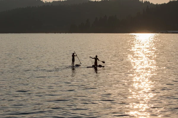 Paddler Boarders Sunset — Stock Photo, Image