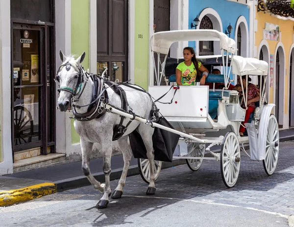 Άλογο και τις με λάθη που οδηγούν στην παλιά San Juan — Φωτογραφία Αρχείου