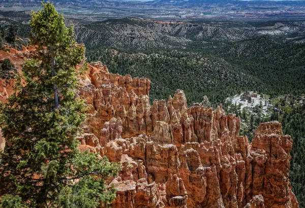 Bryce canyon, Γιούτα — Φωτογραφία Αρχείου