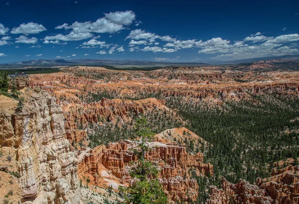 Bryce canyon, Γιούτα — Φωτογραφία Αρχείου