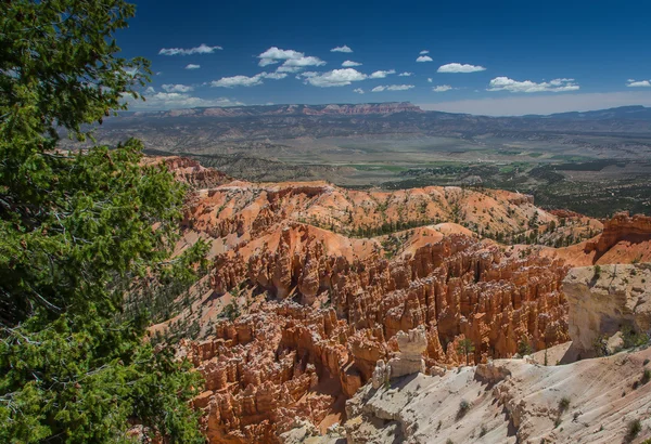 Bryce Canyon, Utah — Zdjęcie stockowe