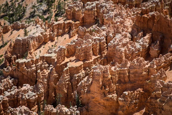 Bryce canyon y utah — Foto de Stock