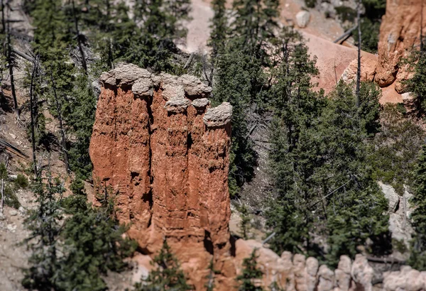 Canyon de Bryce, utah — Photo