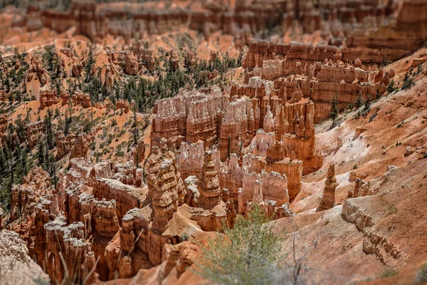 Bryce canyon, Γιούτα — Φωτογραφία Αρχείου