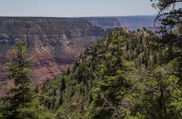 Severní ráfek grand canyon — Stock fotografie