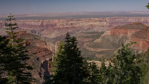 Nordranden Grand Canyon - Stock-foto