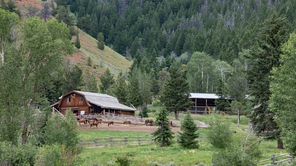 Wyoming Horse Ranch — Stock Photo, Image