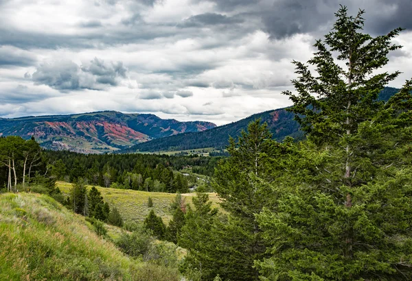 Red HIls de Wyoming — Foto de Stock