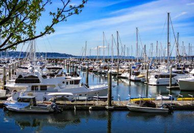 Elliott Bay Marina Seattle