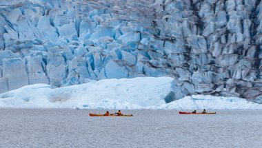 Mendenhall Buzulu Kayak