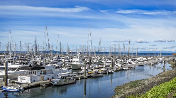 Elliott Bay Marina Seattle — Stok fotoğraf