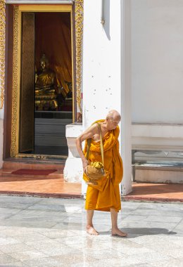 Bangkok tapınak keşiş