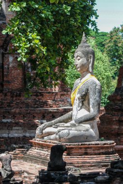 Ayutthaya Buda