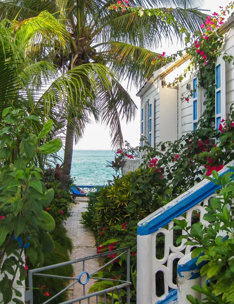 Weergave van het Caribisch gebied — Stockfoto